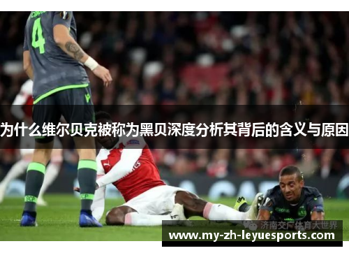 为什么维尔贝克被称为黑贝深度分析其背后的含义与原因 为什么维尔贝克被称为黑贝深度分析其背后的含义与原因