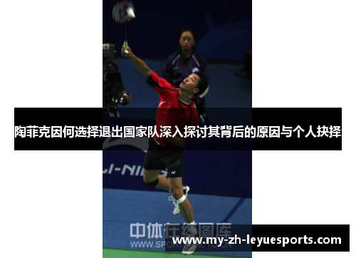 陶菲克因何选择退出国家队深入探讨其背后的原因与个人抉择