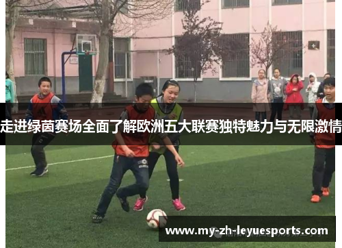 走进绿茵赛场全面了解欧洲五大联赛独特魅力与无限激情 走进绿茵赛场全面了解欧洲五大联赛独特魅力与无限激情