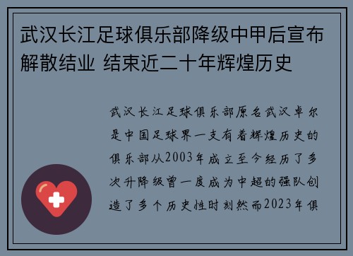 武汉长江足球俱乐部降级中甲后宣布解散结业 结束近二十年辉煌历史 武汉长江足球俱乐部降级中甲后宣布解散结业 结束近二十年辉煌历史